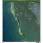 article image -